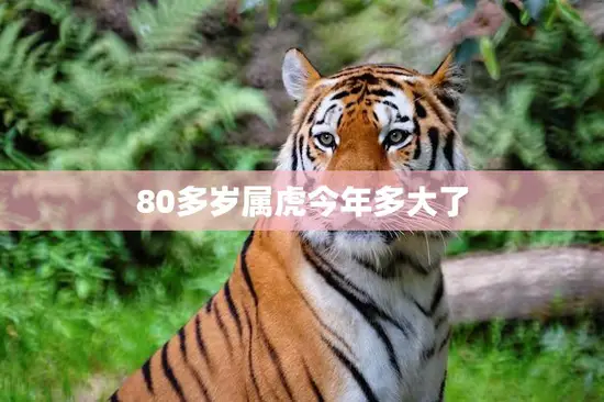 80多岁属虎今年多大了(如何健康长寿)