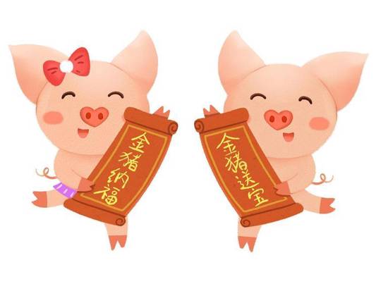 2023年猪运势1995(猪年大吉财运亨通)