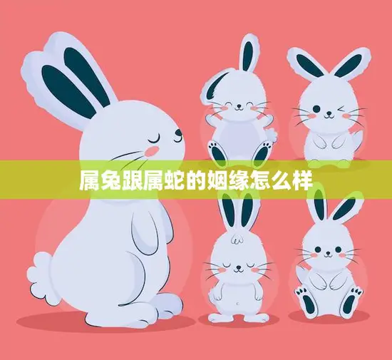 属兔跟属蛇的姻缘怎么样(解析属相配对)