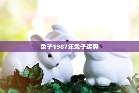 兔子1987年兔子运势(2023年运势大揭秘)