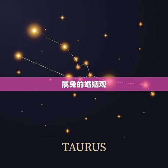 属兔的一生有几次婚姻(多少次婚姻才能满足兔子的爱情梦想)