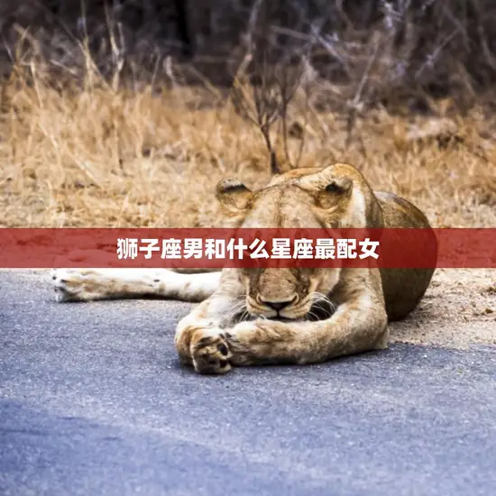 狮子座男和什么星座最配女(星座配对大揭秘)