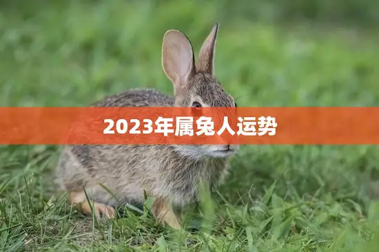 2023年属兔人运势(喜迎贵人助力事业稳步上升)