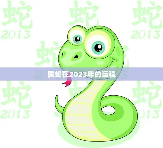 属蛇在2023年的运程(顺风顺水财源滚滚)