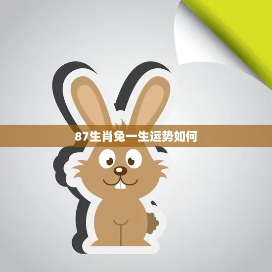 87生肖兔一生运势如何(运势大揭秘)