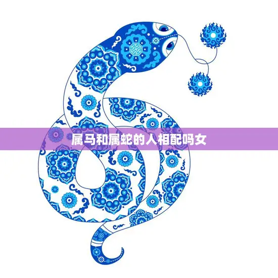 属马和属蛇的人相配吗女(星座配对马蛇组合的爱情奇遇)