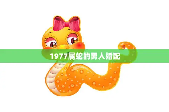 1977属蛇的男人婚配(如何选择最佳伴侣)