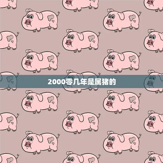 2000零几年是属猪的(属猪人的性格特点和命运解析)