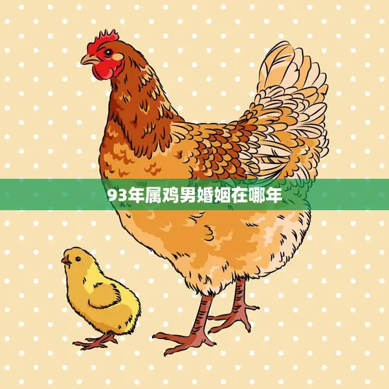 93年属鸡男婚姻在哪年(解析属鸡男的婚姻运势)