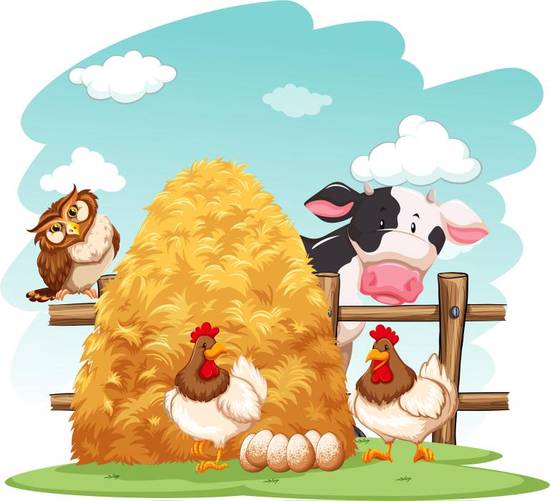 属鸡下半年运势2023(事业财运双丰收)