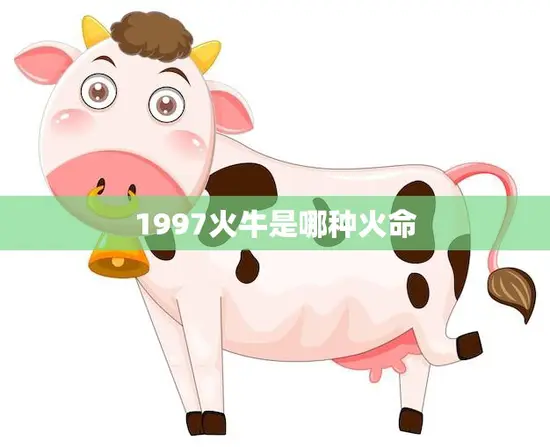 1997火牛是哪种火命(揭秘属牛人的性格特点与命运趋势)