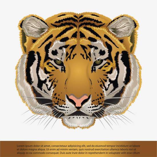 生肖蛇和虎合不合财运呢(财运合不合)