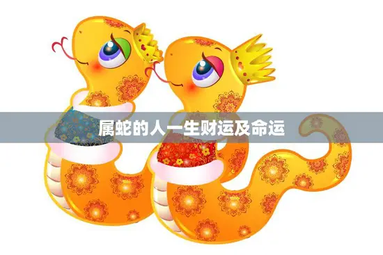 属蛇的人一生财运及命运(解析财富与命运的交织)
