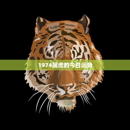 1974属虎的今日运势(好运连连财源滚滚)