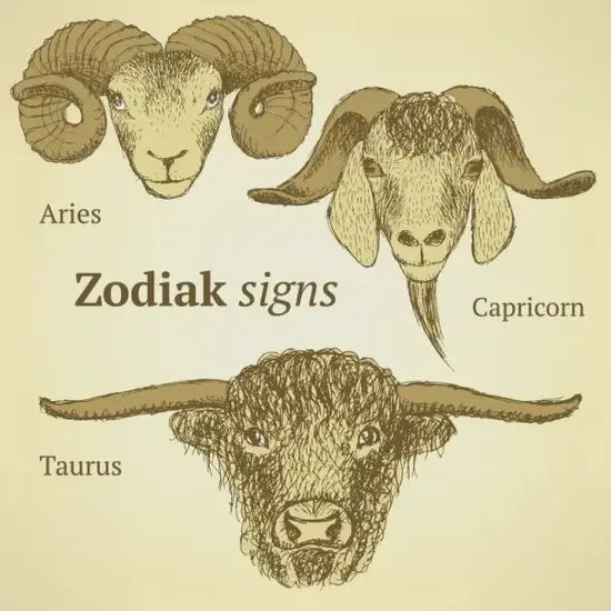 白羊座健康食谱