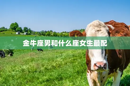 金牛座男和什么座女生最配(星座配对大揭秘)