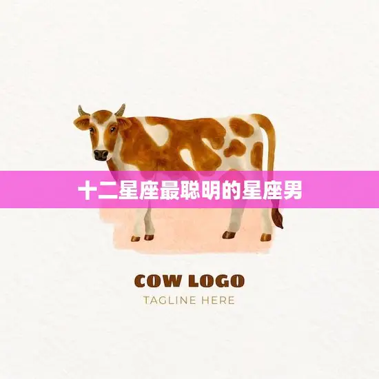 十二星座最聪明的星座男(谁是智商的男神)