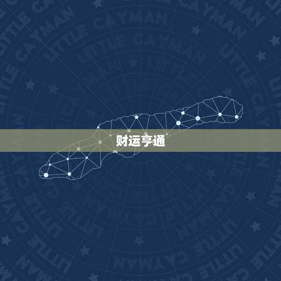 2024猪人全年运势(财运亨通事业顺利感情)