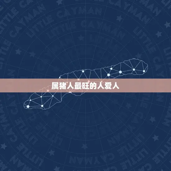 属猪人一生最旺3个人(介绍让你事业爱情双丰收)