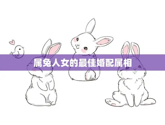 属兔人女的最佳婚配属相(如何选择)