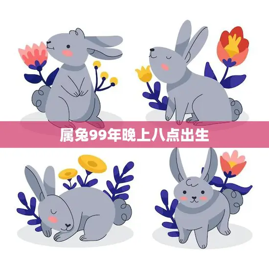属兔99年晚上八点出生(兔宝宝的性格特点与未来发展趋势)