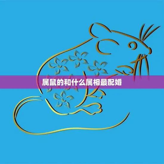 属鼠的和什么属相最配婚(最佳婚配星座大揭秘)