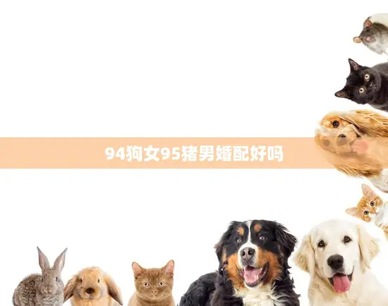 94狗女95猪男婚配好吗(星座专家揭秘真相)