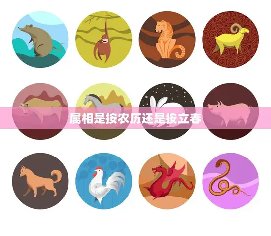 属相是按农历还是按立春(如何确定你的生肖)