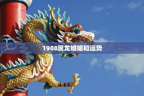 1988属龙婚姻和运势(如何在婚姻中幸福)