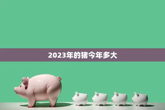 2023年的猪今年多大(探寻十二生肖的神秘密码)