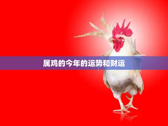 属鸡的今年的运势和财运(2023财运亨通事业顺利但需注意健康问题)