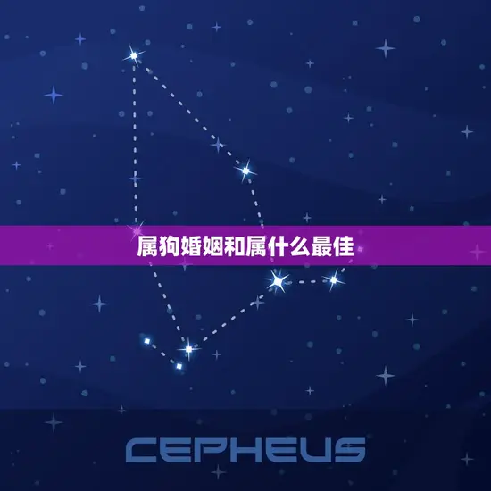 属狗婚姻和属什么(如何选择婚姻对象)