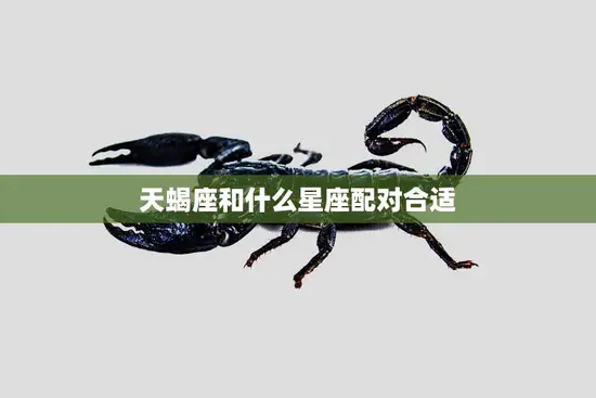 天蝎座和什么星座配对合适(最佳星座组合大揭秘)