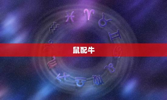 越来越相爱的生肖配对(十二生肖中哪些组合)