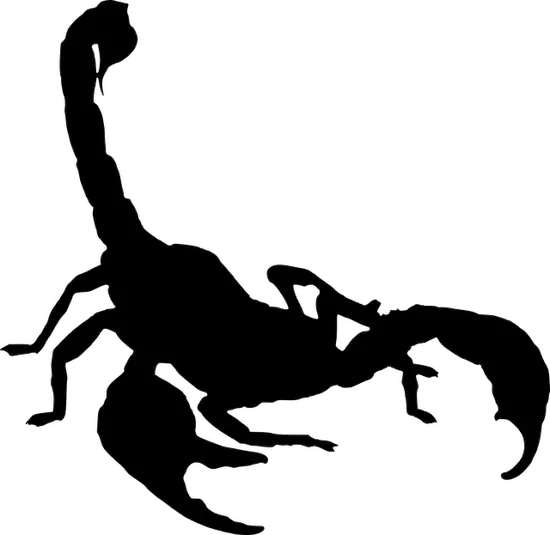 2023年天蝎座下周运势(财运亨通事业顺利)