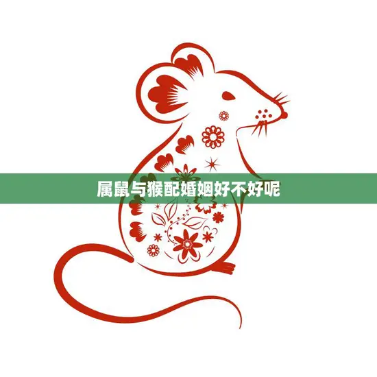 属鼠与猴配婚姻好不好呢(探讨星座配对是否能决定婚姻幸福)