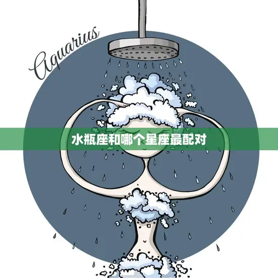 水瓶座和哪个星座最配对(最佳星座搭配大揭秘)