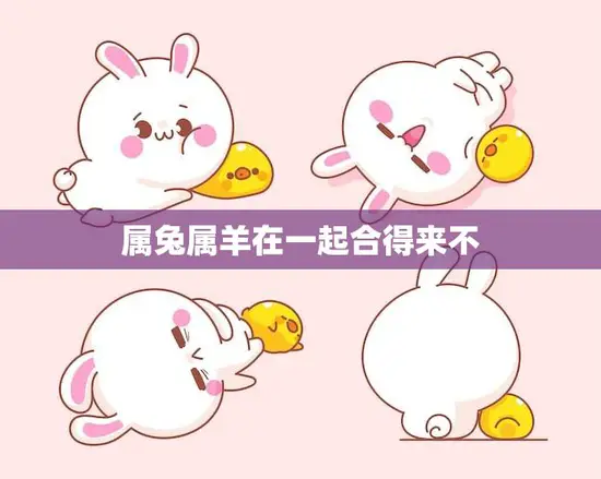 属兔属羊在一起合得来不(探讨星座配对的真相)