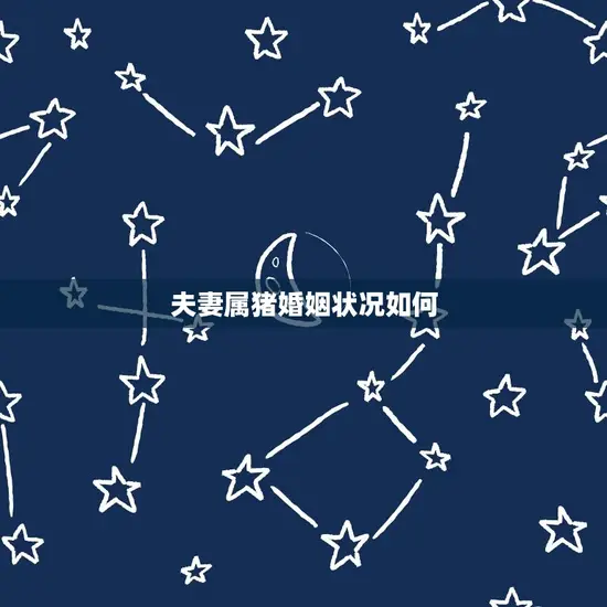 夫妻属猪婚姻状况如何(幸福还是波折不断)