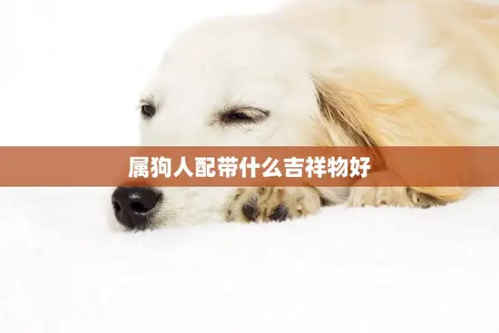 属狗人配带什么吉祥物好(选对吉祥物幸福指日可待)