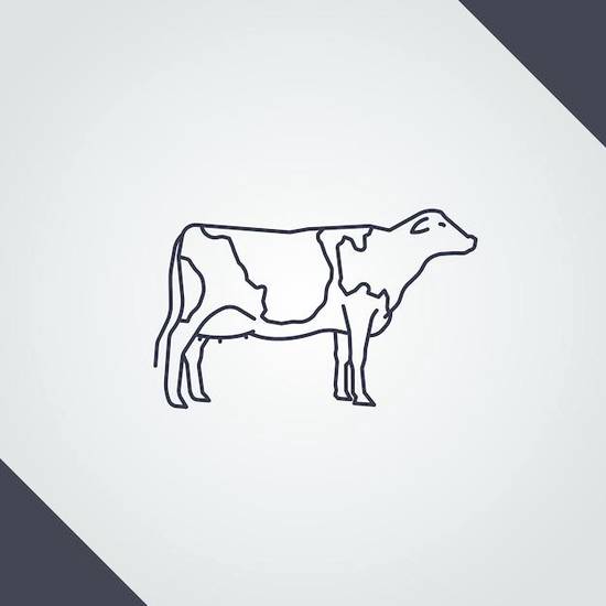 金牛男与天秤女配对指数(天秤女的优雅与金牛男的稳重完美匹配)