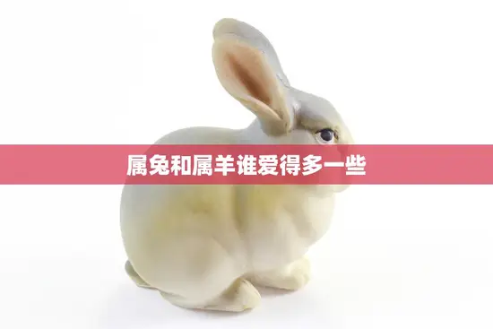 属兔和属羊谁爱得多一些(谁更懂得爱情)