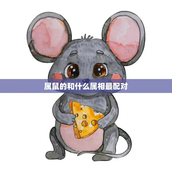 属鼠的和什么属相最配对(十二生肖配对大揭秘)