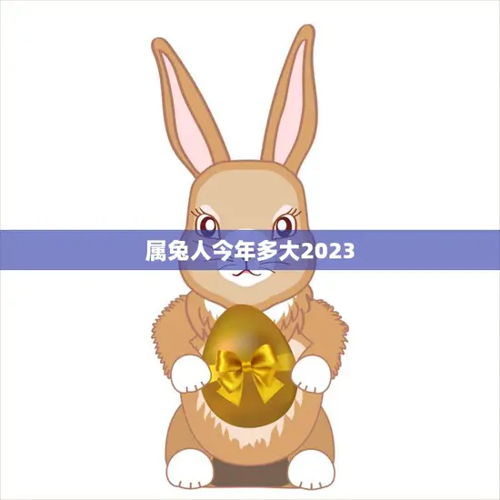 属兔人今年多大2023(如何计算属兔人的年龄)