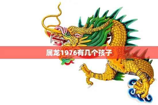 属龙1976有几个孩子(家庭规划与生育决策)
