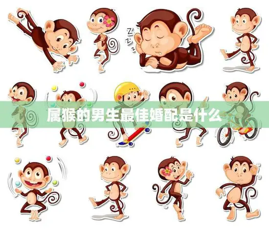 属猴的男生最佳婚配是什么(如何选择最适合的伴侣)