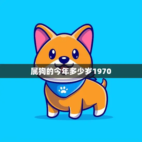属狗的今年多少岁1970(如何计算属狗人的年龄)