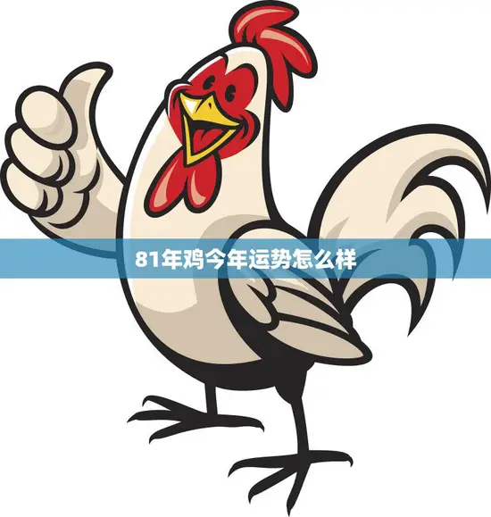 81年鸡今年运势怎么样(2023年鸡年运势大揭秘)