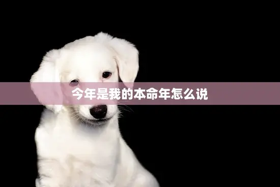 今年是我的本命年怎么说(如何化解本命年的厄运)