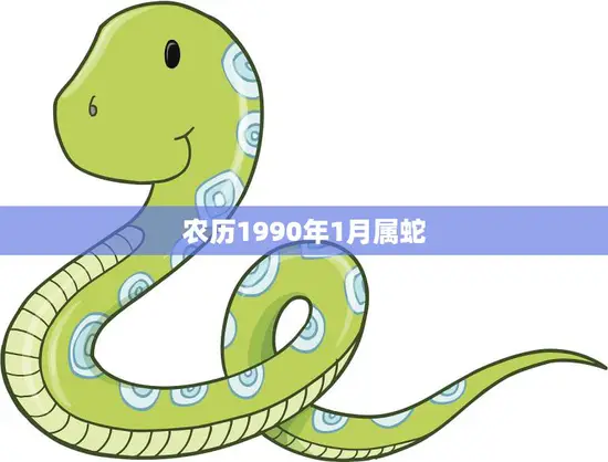 农历1990年1月属蛇(蛇年出生的人有哪些特点)